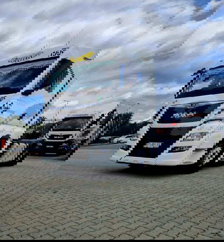 MAN TGX 2019