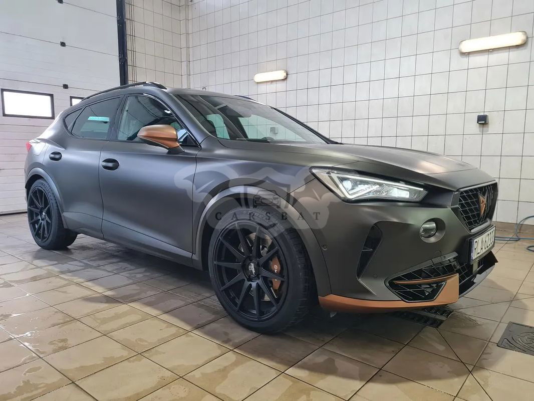 Cupra Formentor 2.0 TSI 4Drive VZ DSG 2020