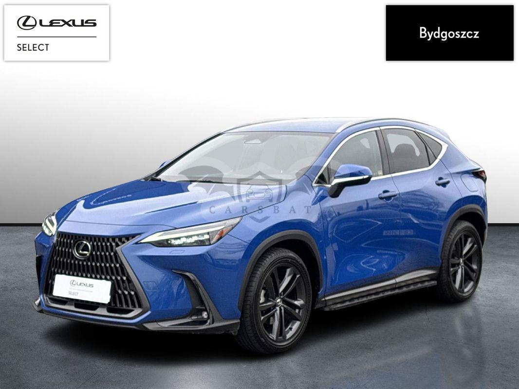 Lexus NX II 2023