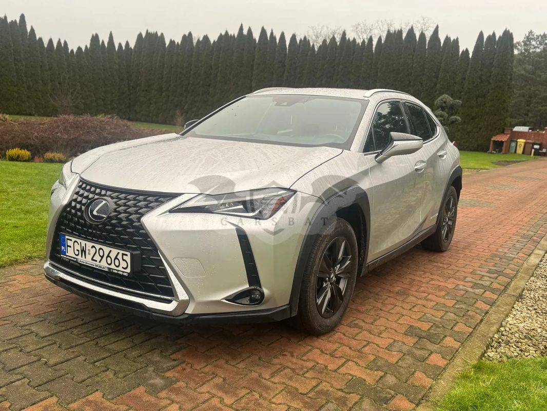 Lexus UX 250h (E-FOUR) Executive Line 2020