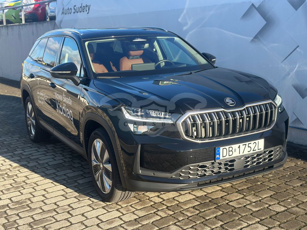 Skoda Kodiaq II 2.0 TDI 4x4 Selection DSG 2024