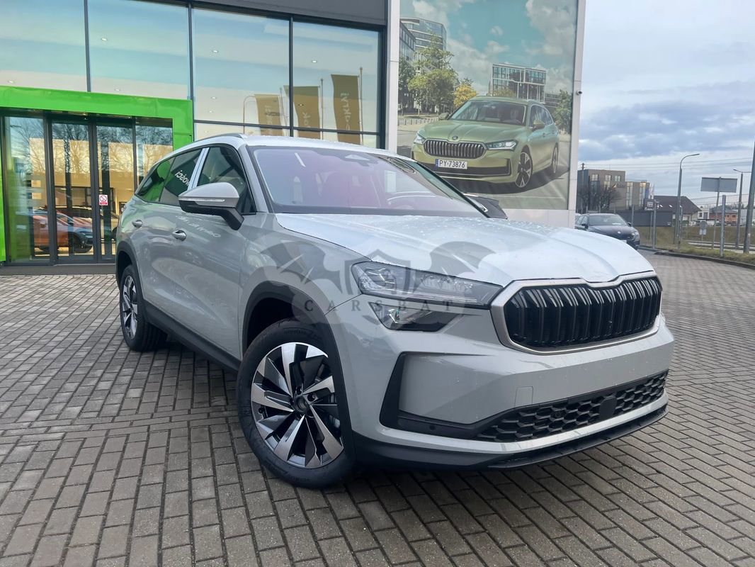 Skoda Kodiaq II 2.0 TDI 4x2 Selection DSG 2024