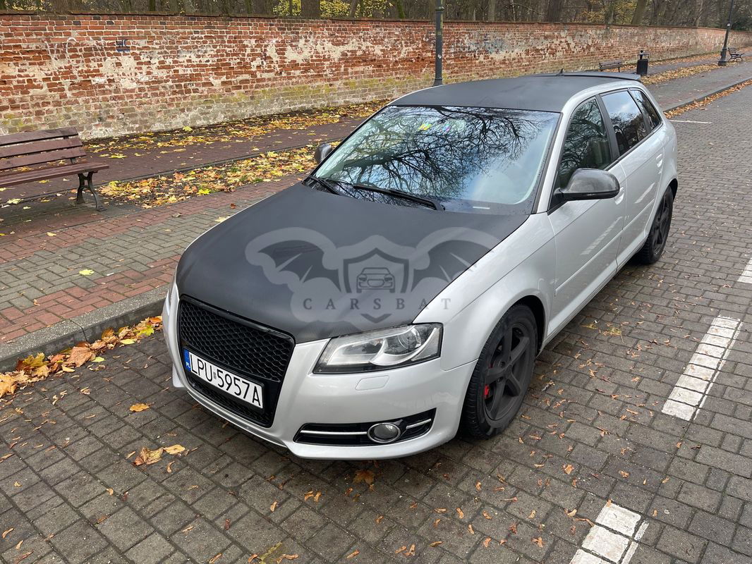 Audi A3 8P 1.8 TFSI Sportback S tronic S line Sportpaket 2009