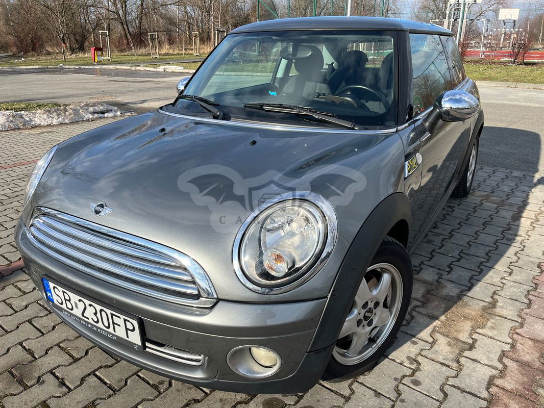 Mini One Standard 2010