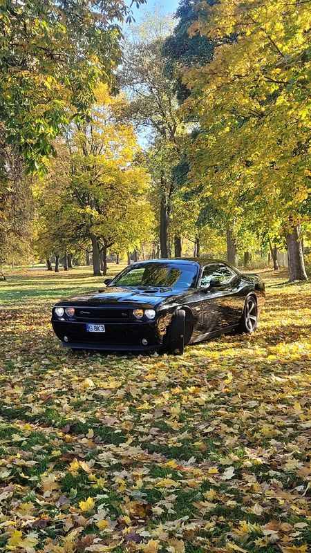 Dodge Challenger 2014