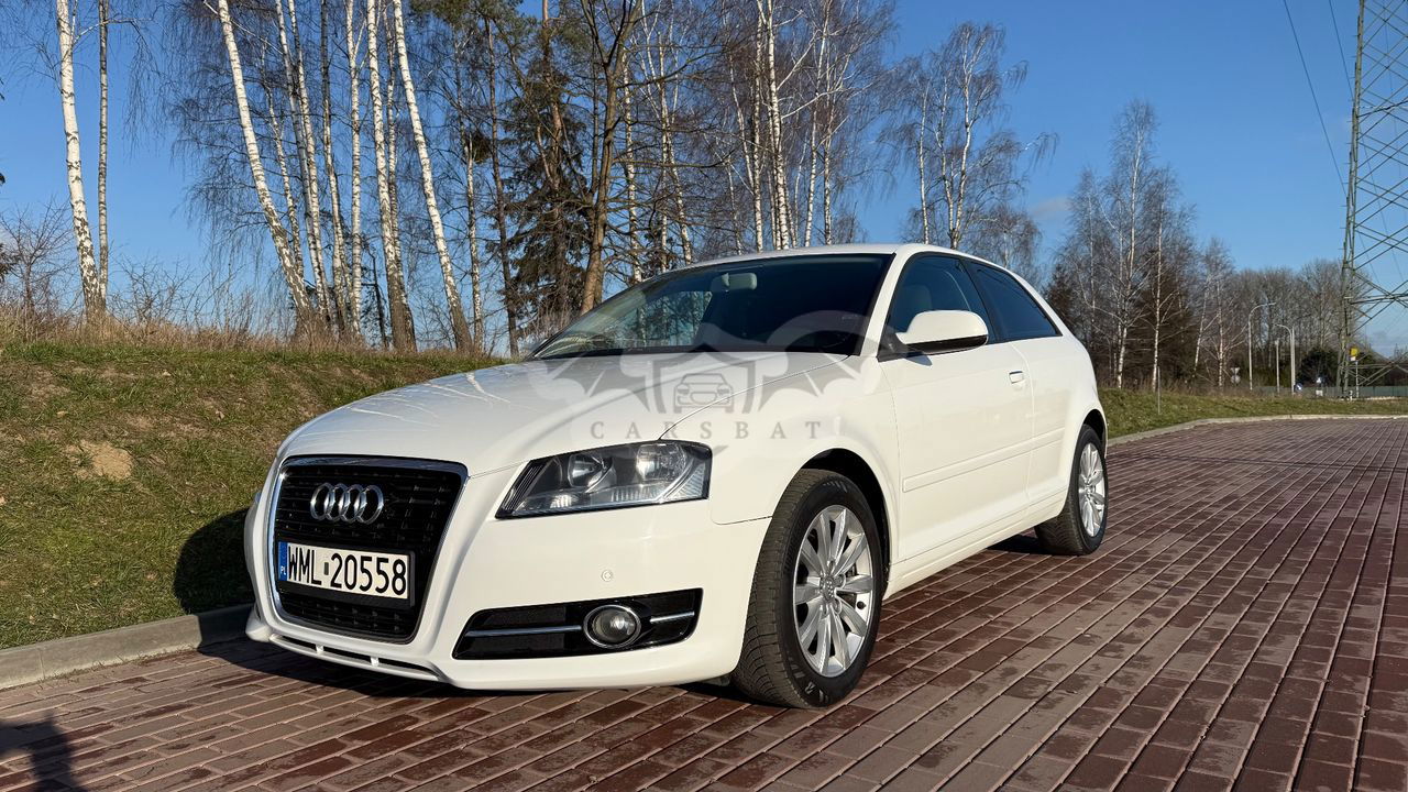 Audi A3 8P 1.6 TDI DPF Ambiente 2010