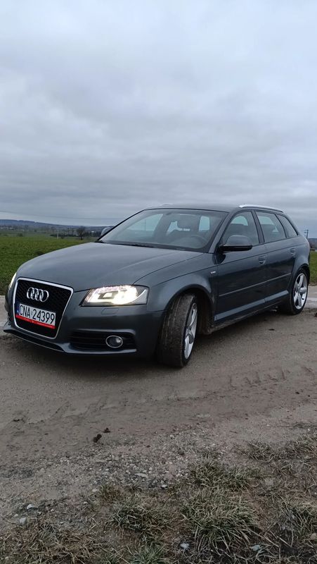Audi A3 8P 1.4 TFSI Sportback S line Sportpaket 2010