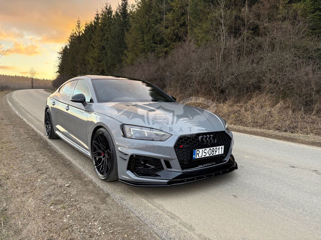 Audi RS5 Sportback 2.9 TFSI quattro tiptronic 2019