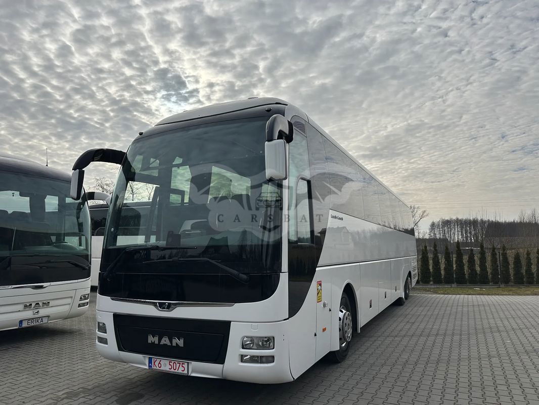 MAN Lion's Coach 2016