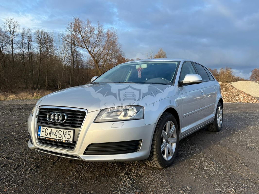 Audi A3 8P 2.0 TDI DPF Ambition 2009