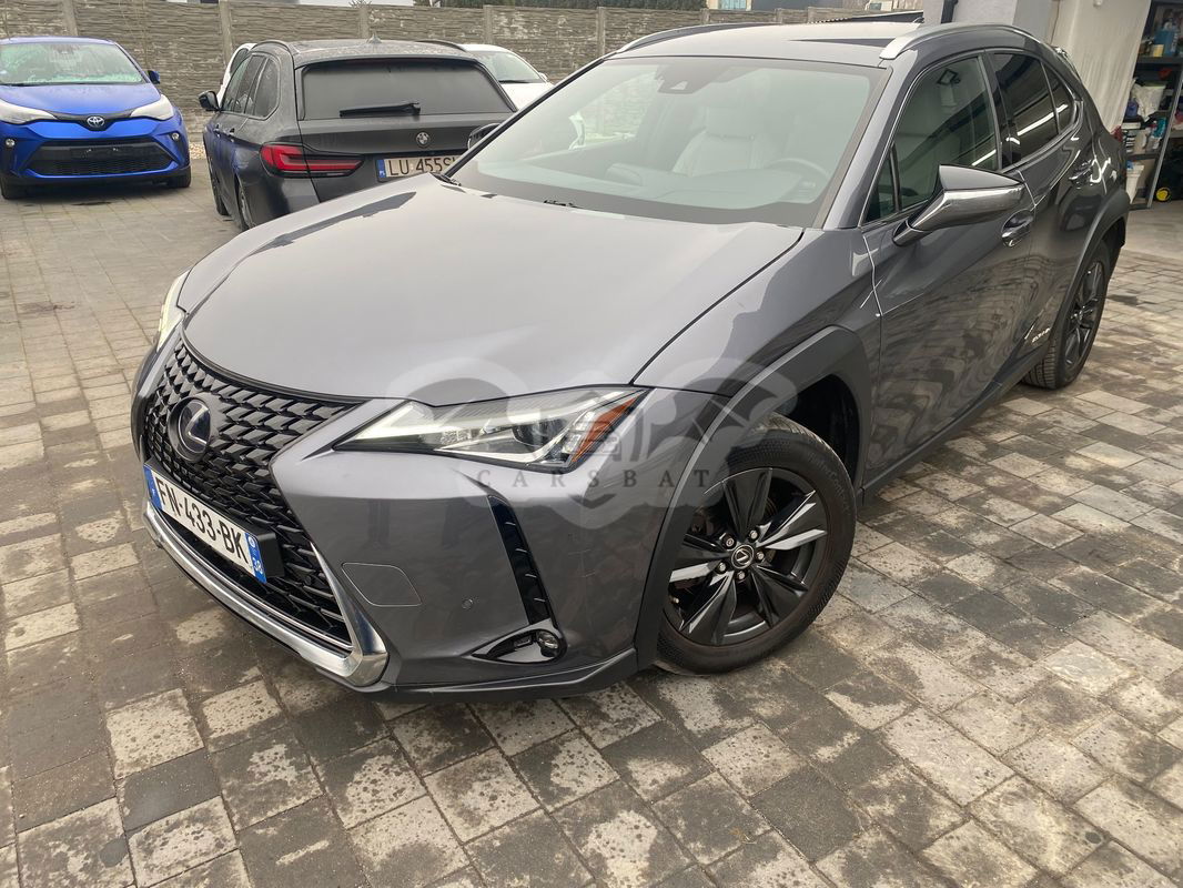 Lexus UX 250h (E-FOUR) Business Edition 2020