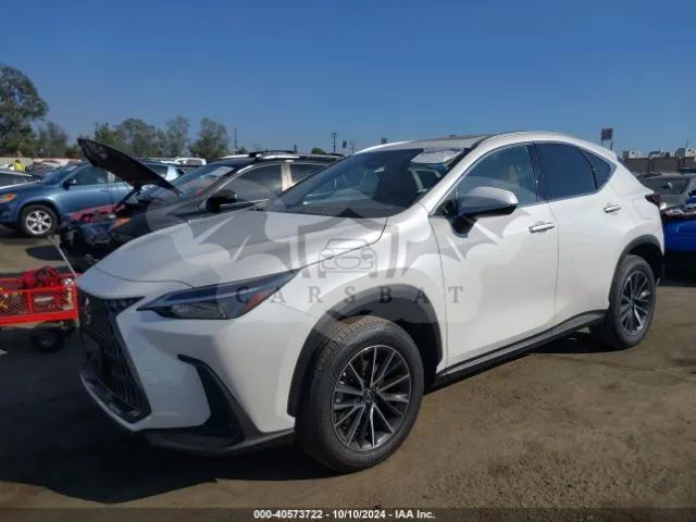 Lexus NX II 2024