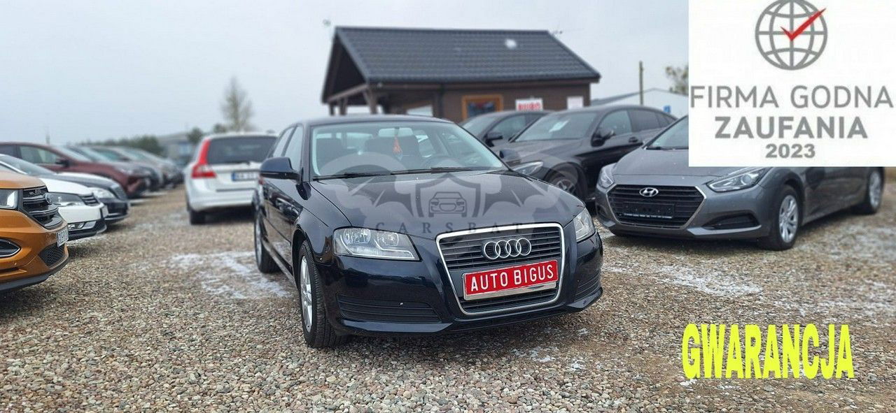 Audi A3 8P 2009