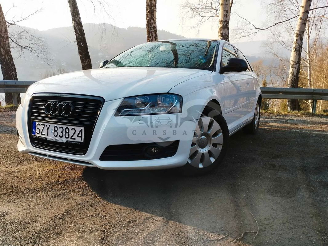 Audi A3 8P 2009