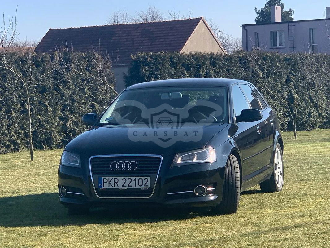 Audi A3 8P 2.0 TDI DPF Attraction 2010