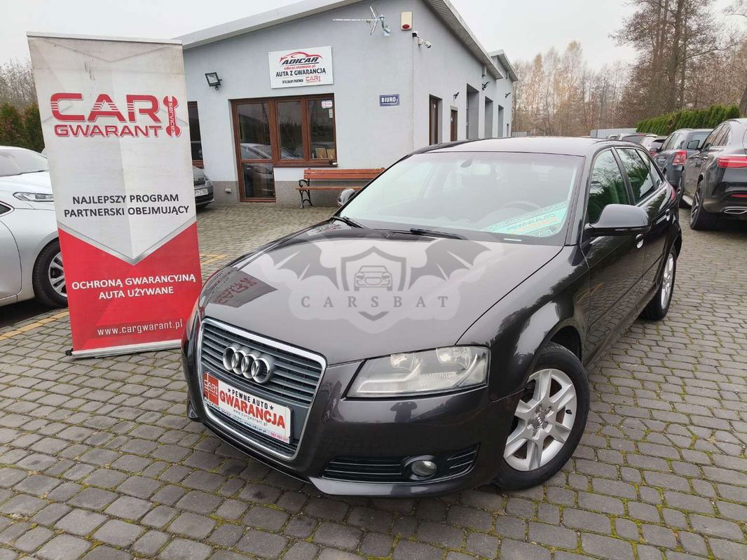 Audi A3 8P 2009