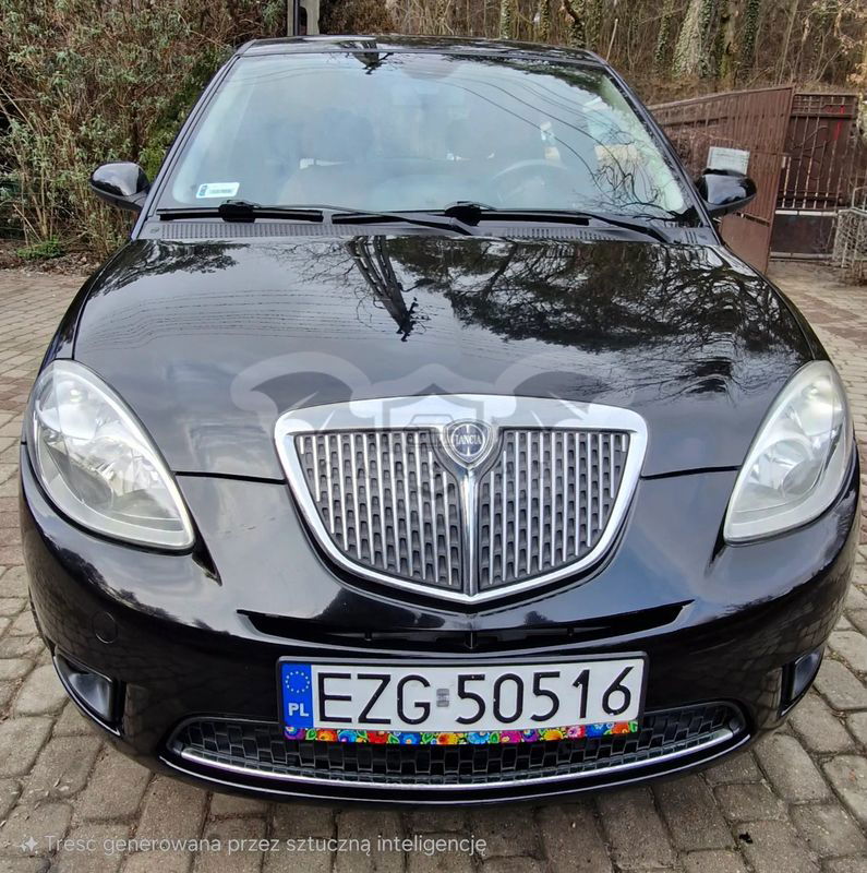 Lancia Ypsilon 1.4 8V Platino (4 os.) 2008