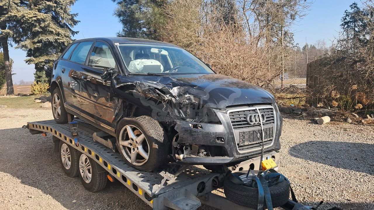 Audi A3 8P 2009