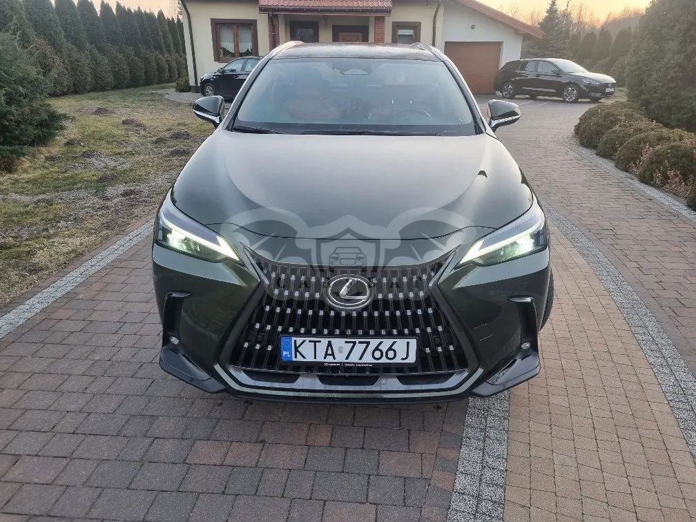 Lexus NX II 2023