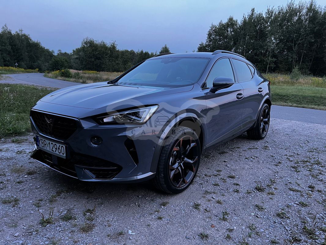 Cupra Formentor 2.0 TSI 4Drive DSG 2023