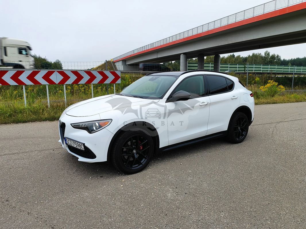 Alfa Romeo Stelvio 2.0 Turbo 16V AT8-Q4 Ti 2019