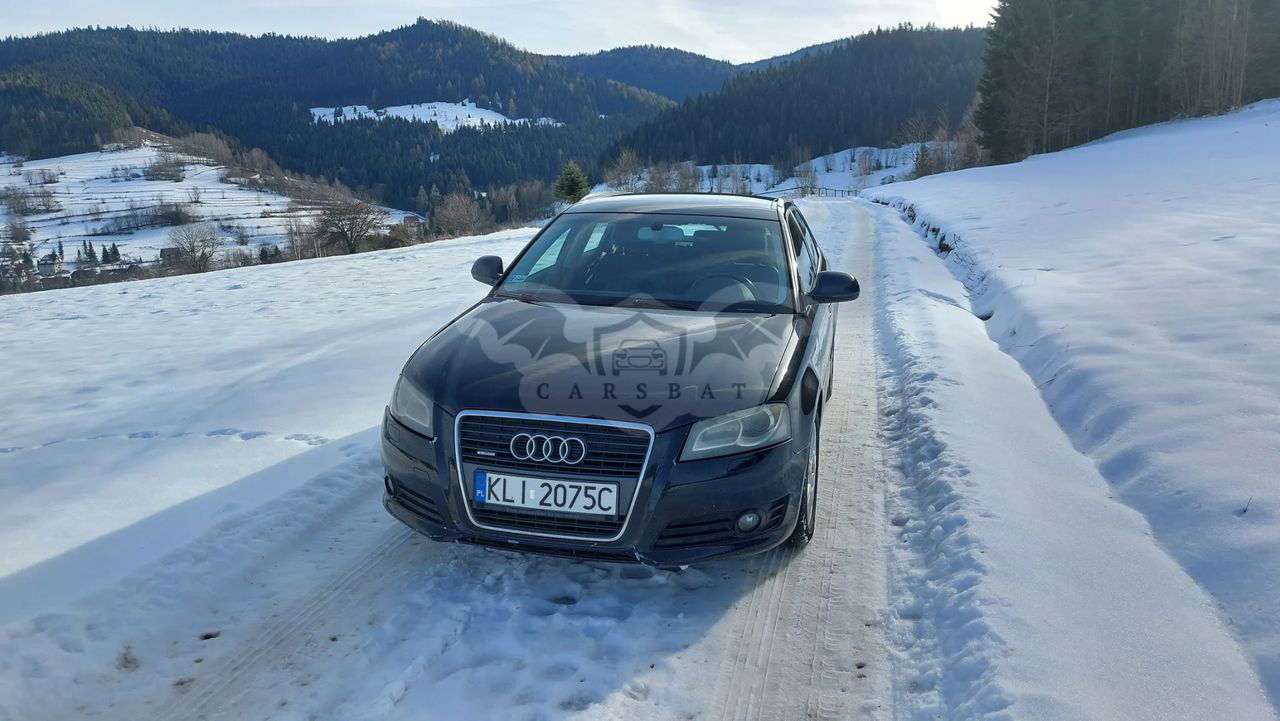 Audi A3 8P 2.0 TDI DPF Quattro Attraction 2009