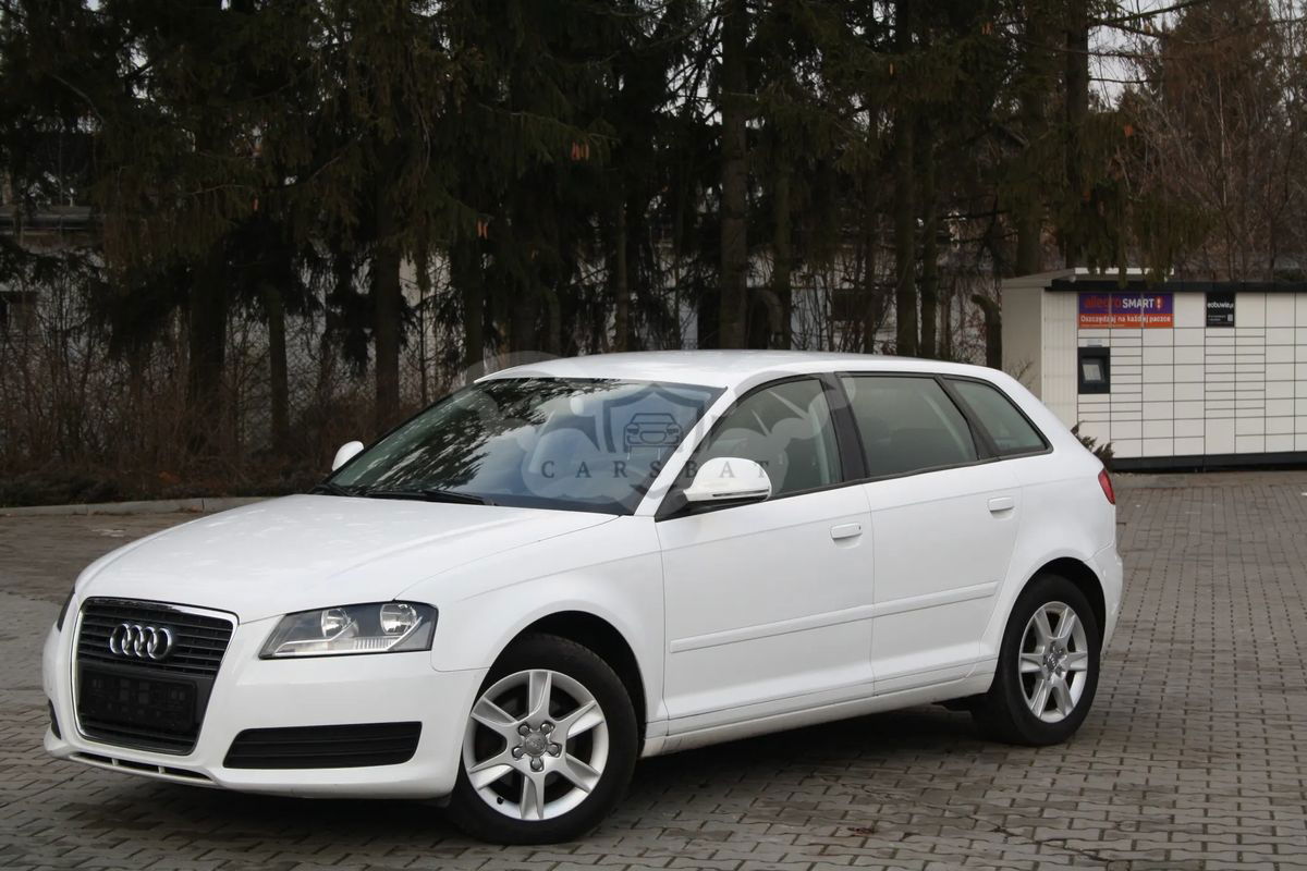 Audi A3 8P 1.6 Ambition 2010