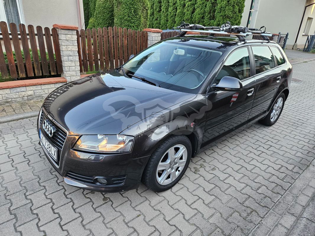 Audi A3 8P 2009