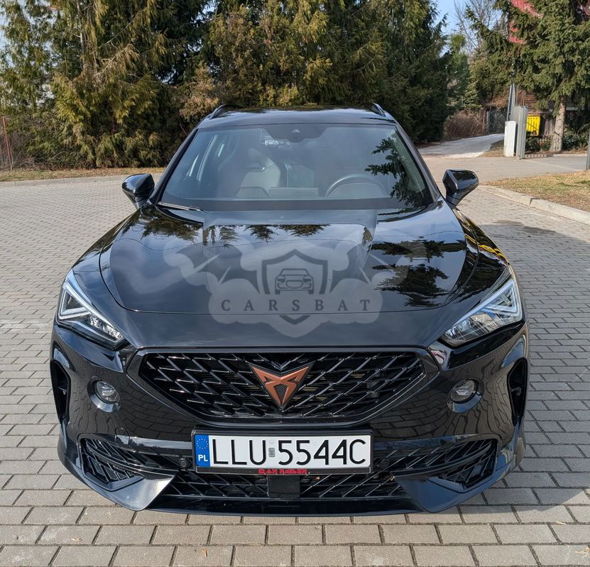 Cupra Formentor 2.0 TSI 4Drive DSG 2023