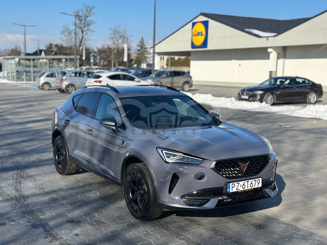 Cupra Formentor 2.0 TSI 4Drive DSG 2023