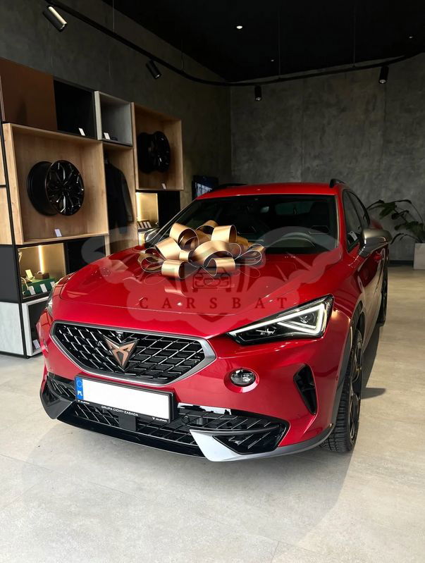 Cupra Formentor 2.0 TSI 4Drive DSG 2023