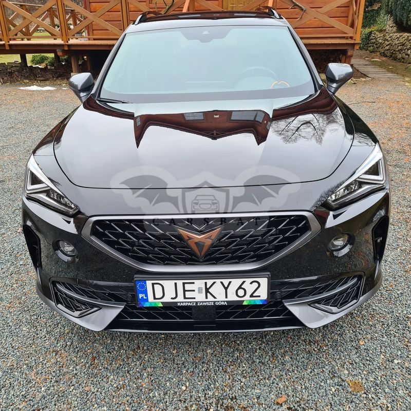 Cupra Formentor 2.0 TDI 4Drive DSG 2023