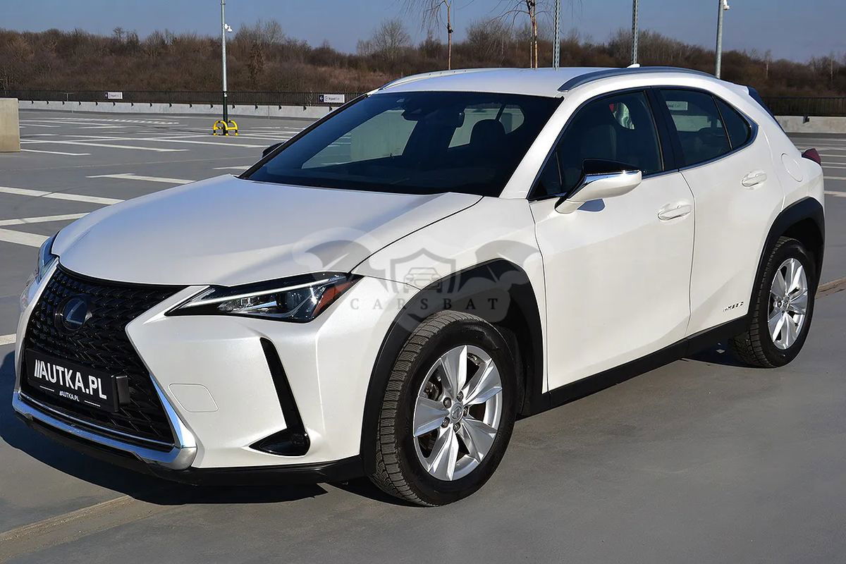 Lexus UX 250h Business Edition 2020
