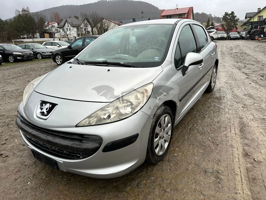 Peugeot 207 1.4 16V Trendy 2006