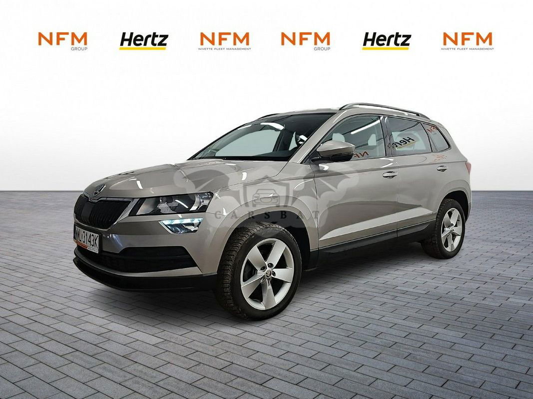 Skoda Karoq 2019