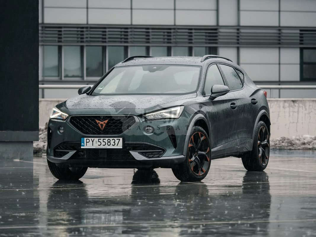 Cupra Formentor 2.0 TSI 4Drive DSG 2023