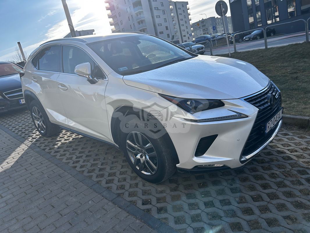 Lexus NX I 300 Business Edition AWD 2020