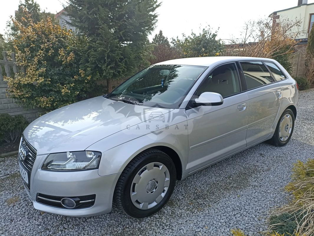 Audi A3 8P 2010