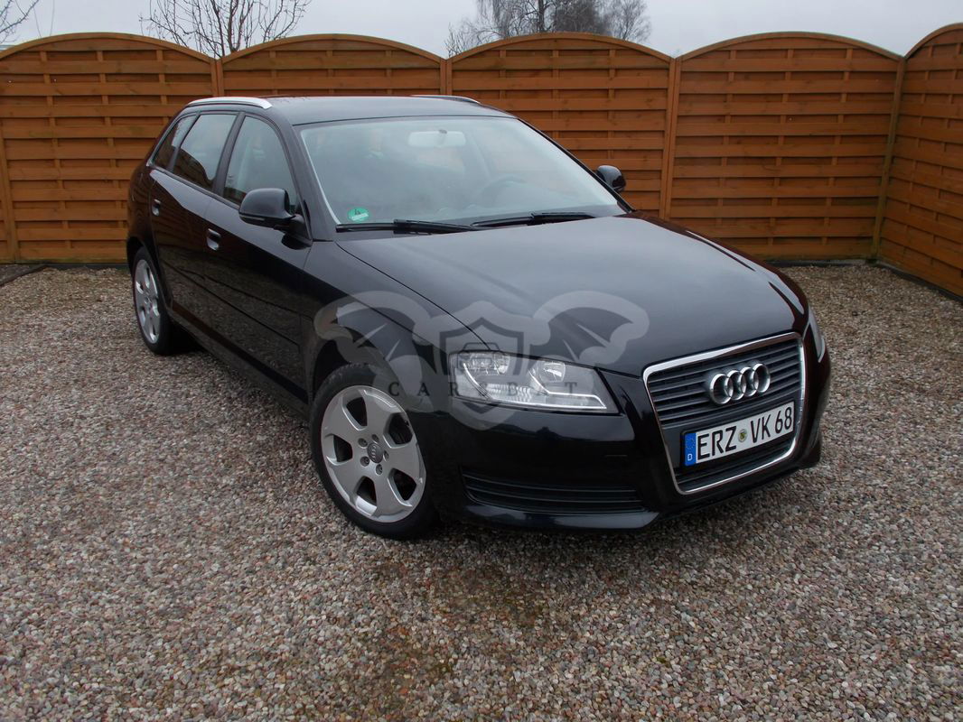 Audi A3 8P 1.6 Ambition 2009