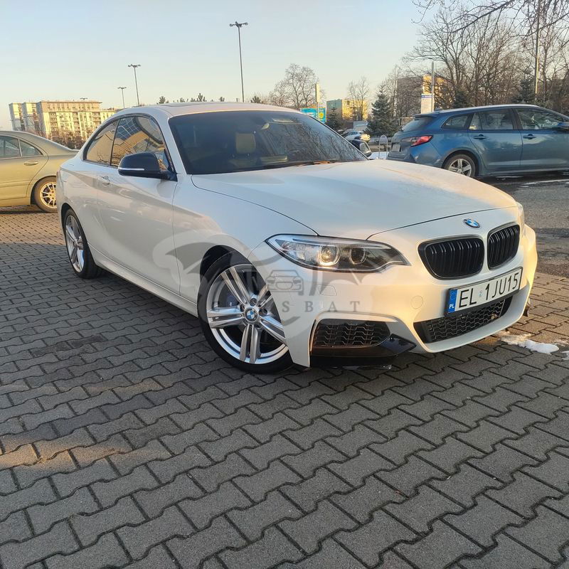 BMW M2 Coupe 2014