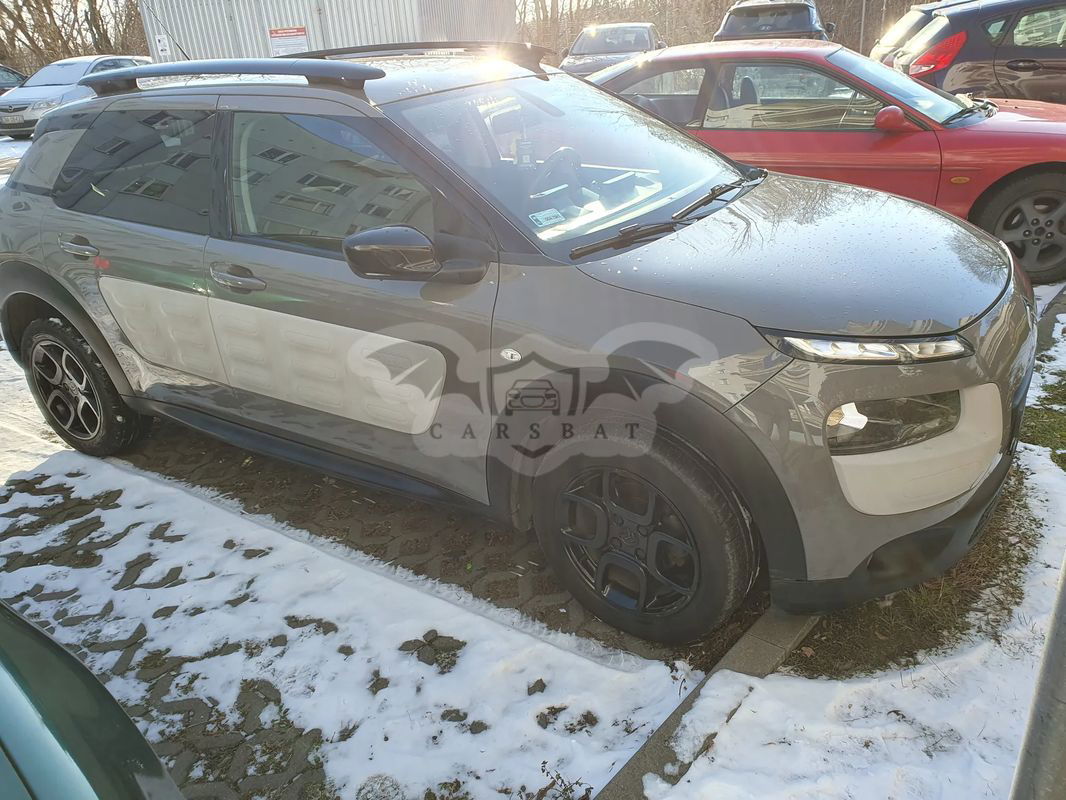 Citroën C4 Cactus 1.2 PureTech Shine S&S 2015