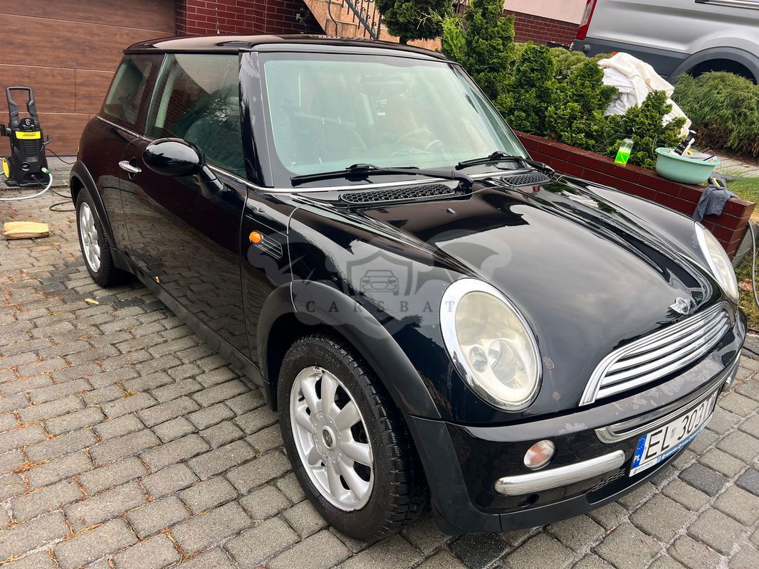 Mini One salt 2002