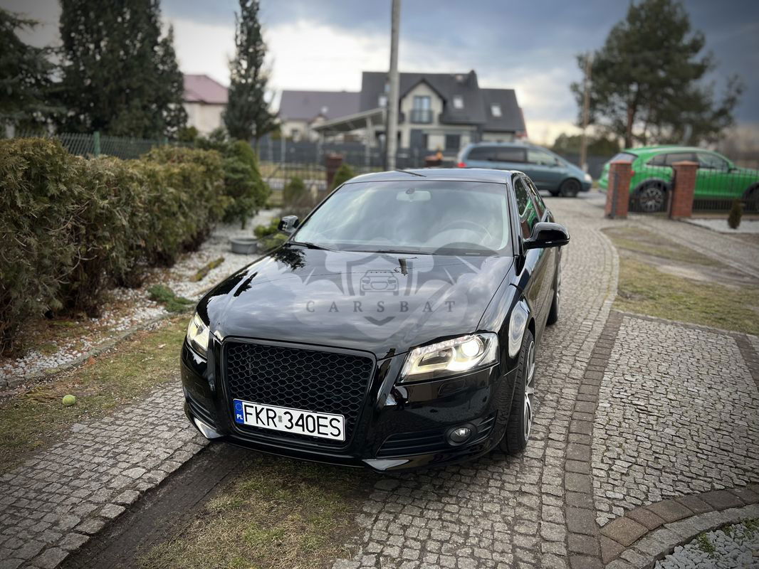 Audi A3 8P 2.0 TDI DPF Attraction 2009
