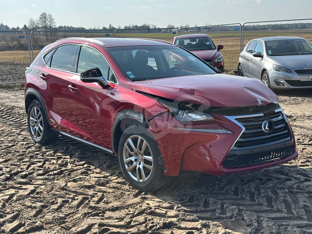 Lexus NX I 300h E-FOUR Executive Line 2016