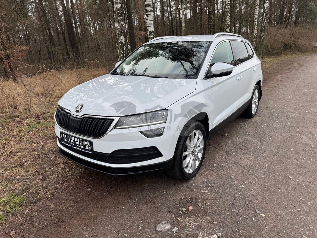 Skoda Karoq 2.0 TDI 4x4 DSG Drive 2019