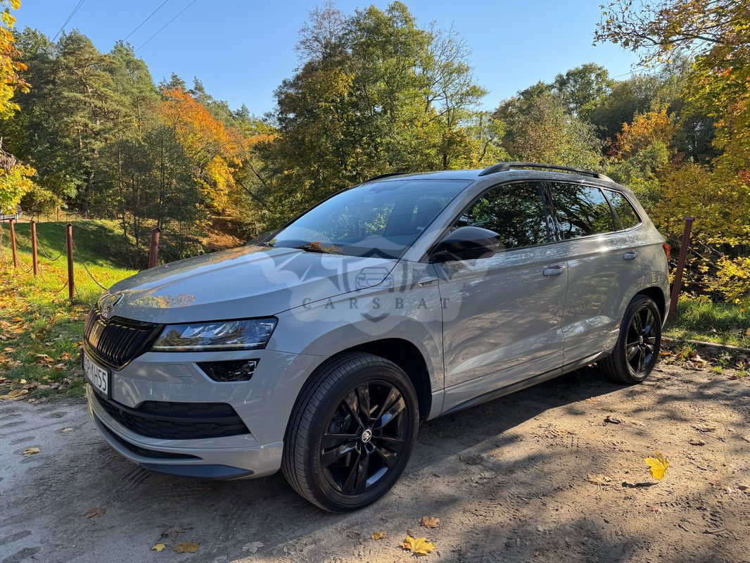 Skoda Karoq 2.0 TSI 4x4 Sportline DSG 2019