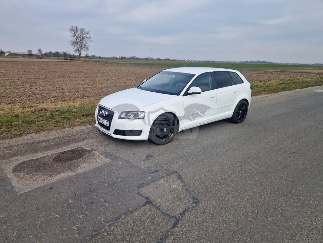 Audi A3 8P 1.8 TFSI Sportback S tronic S line Sportpaket 2010