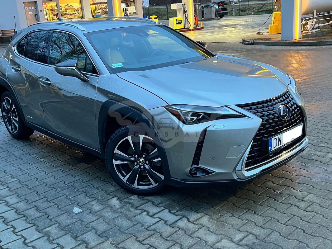 Lexus UX 250h GPF Prestige 2WD 2020