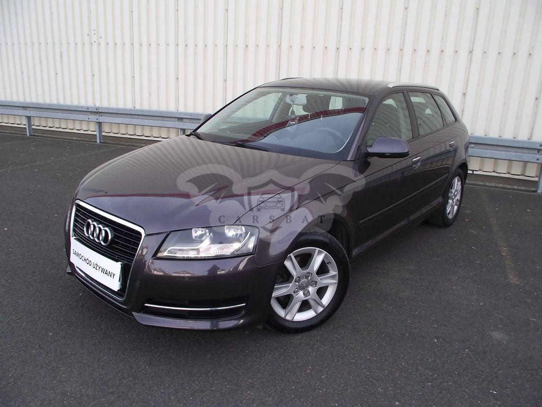 Audi A3 8P 1.4 TFSI Ambition 2010