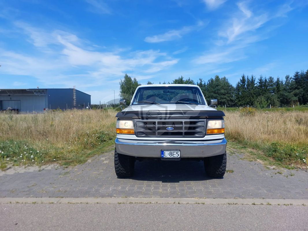 Ford F-150 1995